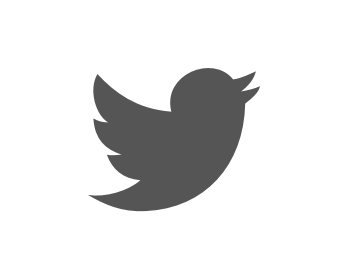 12-Twitter
